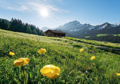 Komar AlpenglÃ¼ck Vlies Fotobehang 400x280cm 8 banen | Yourdecoration.nl