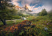 Komar The Last Paradise Vlies Fotobehang 400x280cm 8 banen | Yourdecoration.nl