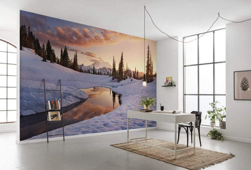 Komar America the Beautiful Vlies Fotobehang 450x280cm 9 banen Sfeer | Yourdecoration.nl