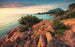 Komar Paradiso II Vlies Fotobehang 450x280cm 9 banen | Yourdecoration.nl