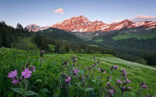 Komar Picturesque Switzerland Vlies Fotobehang 450x280cm 9 banen | Yourdecoration.nl