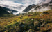 Komar Pure Norway Vlies Fotobehang 450x280cm 9 banen | Yourdecoration.nl