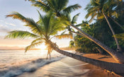 Komar Strandgeheimnis Vlies Fotobehang 450x280cm 9 banen | Yourdecoration.nl