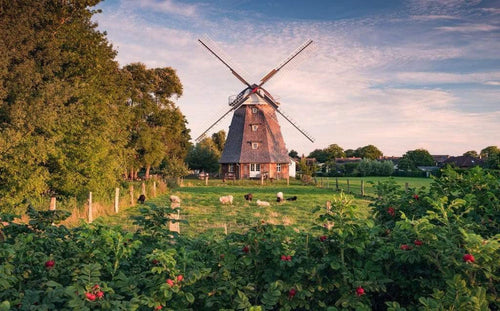 Komar Tage wie Diese Vlies Fotobehang 450x280cm 9 banen | Yourdecoration.nl