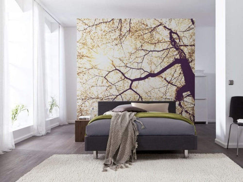 Komar Sunshine Fotobehang 250x250cm 5 banen Sfeer | Yourdecoration.nl