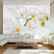 Fotobehang - Lyrical Orchid White - Vliesbehang