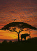 Komar African Sunset Fotobehang National Geographic 194x270cm | Yourdecoration.nl