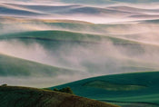 Wizard+Genius Foggy Hills I Vlies Fotobehang 384x260cm 8 banen | Yourdecoration.nl