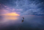 Wizard+Genius Wetland Sunrise Vlies Fotobehang 384x260cm 8 banen | Yourdecoration.nl