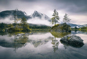 Wizard+Genius Foggy Day Vlies Fotobehang 384x260cm 8 banen | Yourdecoration.nl