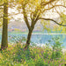 Komar Spring Lake Fotobehang National Geographic 368x254cm | Yourdecoration.nl