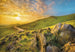 Komar Mountain Morning Fotobehang 368x254cm | Yourdecoration.nl