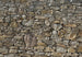 Komar Stone Wall Fotobehang 368x254cm | Yourdecoration.nl