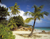 Komar Praslin Fotobehang 368x254cm | Yourdecoration.nl