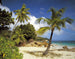 Komar Praslin Fotobehang 368x254cm | Yourdecoration.nl