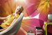 Komar Summer Sun Fotobehang 368x254cm | Yourdecoration.nl