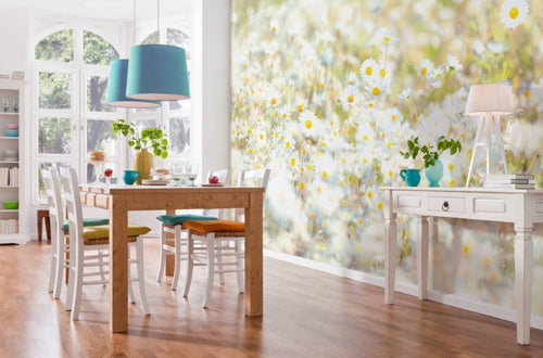 Komar Daisies Fotobehang 368x254cm | Yourdecoration.nl