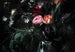 Komar Still Life Fotobehang 368x254cm | Yourdecoration.nl