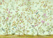 Komar Oiseaux du Paradis Vlies Fotobehang 350x250cm 7 banen | Yourdecoration.nl