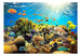 Artgeist Underwater Land Vlies Fotobehang | Yourdecoration.nl