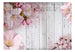 Fotobehang - Apple Blossoms - Vliesbehang