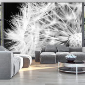 Fotobehang - Black and White Dandelion - Vliesbehang