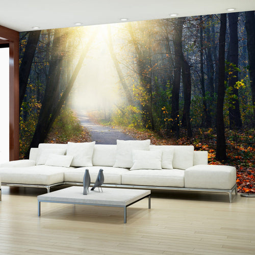 Fotobehang - Road Through the Forest - Vliesbehang