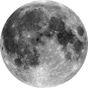 Komar Moon Fotobehang 125x125cm Rond | Yourdecoration.nl