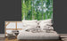 Dimex Birch Grow Fotobehang 225x250cm 3 banen Sfeer | Yourdecoration.nl