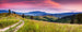 Dimex Blooming Hills Fotobehang 375x150cm 5 banen | Yourdecoration.nl