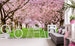 Dimex Cherry Trees Fotobehang 375x250cm 5 banen Sfeer | Yourdecoration.nl