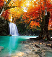 Dimex Deep Forest Waterfall Fotobehang 225x250cm 3 banen | Yourdecoration.nl