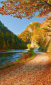 Dimex Dunajec River Fotobehang 150x250cm 2 banen | Yourdecoration.nl