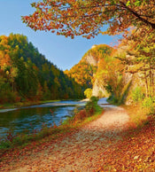 Dimex Dunajec River Fotobehang 225x250cm 3 banen | Yourdecoration.nl