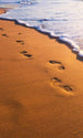 Dimex Footsteps Fotobehang 150x250cm 2 banen | Yourdecoration.nl