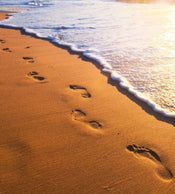 Dimex Footsteps Fotobehang 225x250cm 3 banen | Yourdecoration.nl