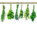 Dimex Herbs Fotobehang 225x250cm 3 banen | Yourdecoration.nl