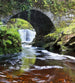 Dimex Ireland Fotobehang 225x250cm 3 banen | Yourdecoration.nl