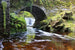 Dimex Ireland Fotobehang 375x250cm 5 banen | Yourdecoration.nl