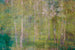 Dimex Leaves Abstract Fotobehang 375x250cm 5 banen | Yourdecoration.nl