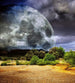 Dimex Moon Fotobehang 225x250cm 3 banen | Yourdecoration.nl