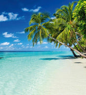 Dimex Paradise Beach Fotobehang 225x250cm 3 banen | Yourdecoration.nl