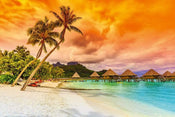 Dimex Polynesia Fotobehang 375x250cm 5 banen | Yourdecoration.nl