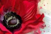 Dimex Poppy Fotobehang 375x250cm 5 banen | Yourdecoration.nl