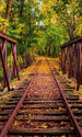 Dimex Railroad Fotobehang 150x250cm 2 banen | Yourdecoration.nl