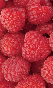 Dimex Raspberry Fotobehang 150x250cm 2 banen | Yourdecoration.nl