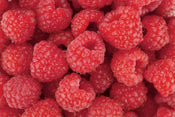 Dimex Raspberry Fotobehang 375x250cm 5 banen | Yourdecoration.nl