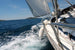 Dimex Sailing Fotobehang 375x250cm 5 banen | Yourdecoration.nl