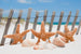 Dimex Starfish Fotobehang 375x250cm 5 banen | Yourdecoration.nl