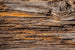 Dimex Tree Bark Fotobehang 375x250cm 5 banen | Yourdecoration.nl